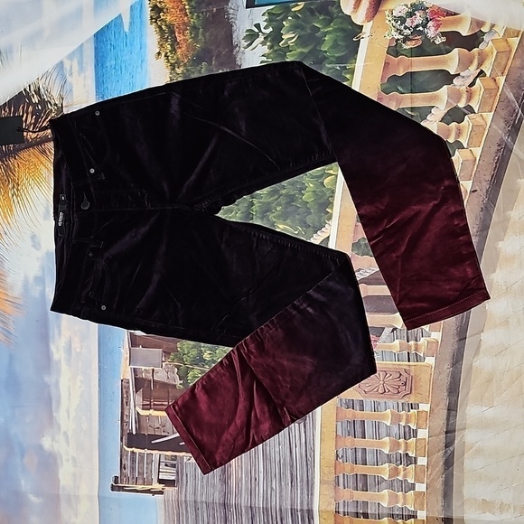 Hudson Skinny Burgundy Maroon Pants NWT Size‎ 26 - Picture 2 of 5
